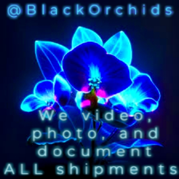 INC NEW XL PINK FLORAL BLACK DRESS International Concepts NWT Womens - Picture 9 of 10